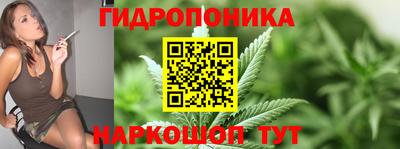 крисы Партизанск