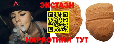 крисы Партизанск
