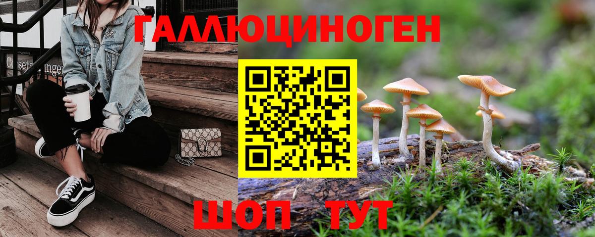 Ржев  Галлюциногенные грибы GOLDEN TEACHER  Вход с VPN 