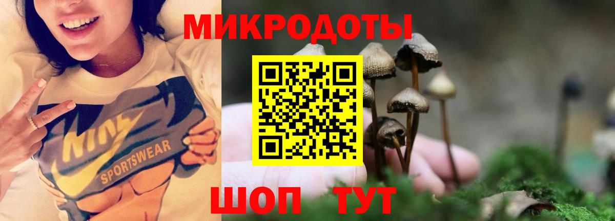 Псилоцибиновые грибы мицелий Ржев